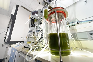 Imágenes fechadas el 2 de mayo de 2008: Reactivador de fermentación de algas