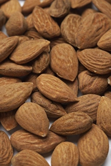 Edible Nuts Imprime: Almonds