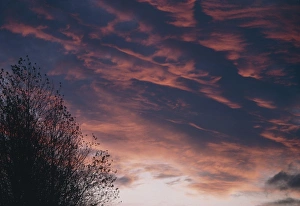 Imágenes fechadas en 1986: Nubes altocúmulos