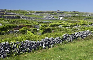 Burren Landscape Imprime: Ancient limestone fields