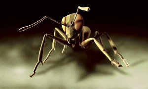 Compound Eyes Imprime: Ant, computer artwork