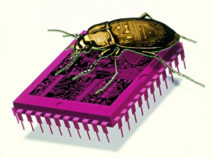 Imágenes Fechado 1998 Mayo 29 Mayo 1998: Obra de arte del bicho del milenio con escarabajo en una celda de microchip.