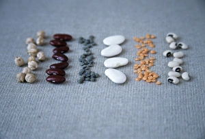 Dry Legumes Imprime: Assorted beans and pulses