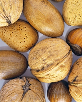 Assorted Nuts Imprime: Assorted nuts