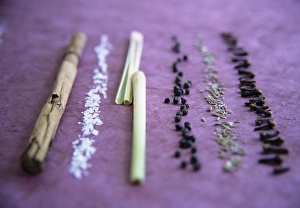 Cinnamon Spice Imprime: Assorted spices