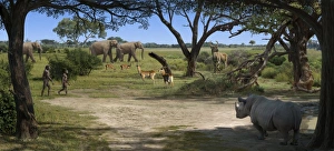 African Savannah Scene Imprime: Australopithecus afarensis landscape