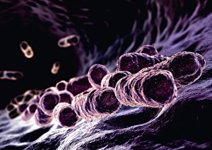 Bacterial Cell Structure Imprime: Bacteria, computer artwork