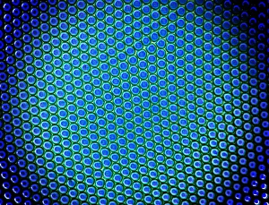 Polarised Light Micrograph Imprime: Beetle compound eye, light micrograph