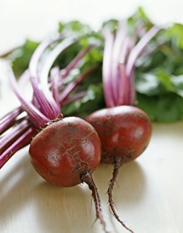 Beetroot Images Imprime: Beetroots