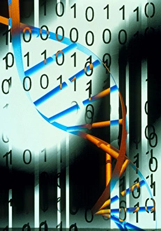 Genetic Code Imprime: Biological computing