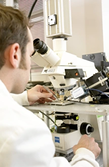Microscope Examination Imprime: Biologist using a microscope