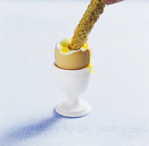 Toasted Bread Imprime: Boiled egg