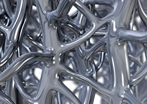 Cancellous Bone Structure Imprime: Bone trabeculae