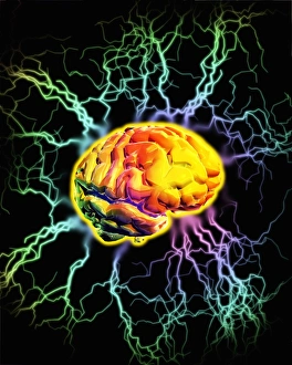 Neuroscience Computer Graphics Imprime: Brain activity