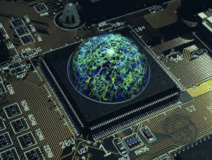 Impresiones de Cerebro en un ciprado Imágenes de marzo de 2003: Cerebro en un trozo de corteza cerebral