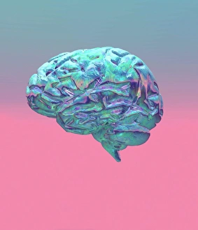 Brain Computer Artwork Imprime: Brain