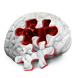 Conceptual Brain Image Imprime: Brain function, conceptual