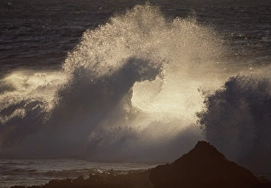 Breaking Wave Photography Imprime: Breaking wave