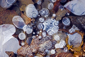 Greenhouse Gas Emissions Imprime: Bubbles of methane