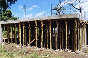 Sustainable Building Materials Imprime: Building construction