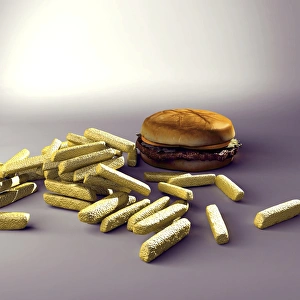 Imágenes de agosto de 2005: Comida de hamburguesa y papas fritas, arte computacional