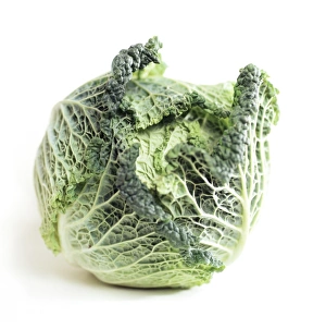 Fresh Green Vegetables Imprime: Cabbage