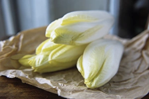 Flowering Plant Pictures Imprime: Chicory