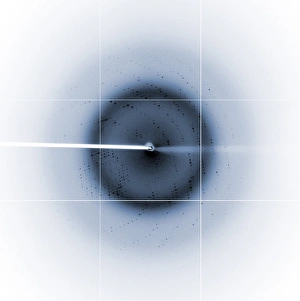 Electron Microscopy Images Imprime: Chikungunya virus diffraction pattern