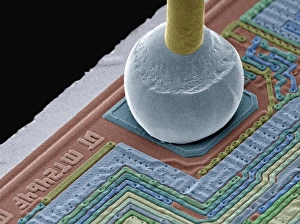 Coloured Scanning Electron Microscopy Imprime: Chip connector, SEM