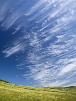 Cirrus Clouds Imprime: Cirrus clouds