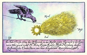17th Century Astronomy Imprime: Comet, 1664