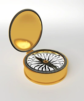 Earths Magnetic Field Imprime: Compass