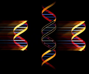 Genetic Engineering Imprime: Computer artwork of genetic engineering