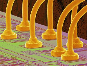 Scanning Electron Microscope Images Imprime: Computer chip, SEM