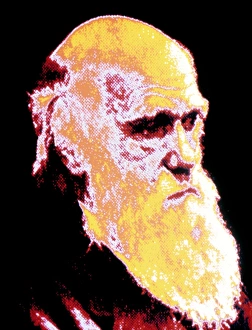 Charles Darwin Portrait Imprime: Computer coloured portrait of Darwin