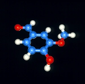 Impresiones de La vanilina. Modelo de computadora de una molécula de la vanilina (fórmula: C8H8O3). Los átomos son esfericos y colorizados: carbono (azul), hidrógeno (blanco) y oxígeno (rojo) Imágenes de octubre de 2002: Modelo de computadora de una molécula de vainilla