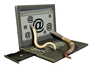 Imágenes de agosto de 2006: Hormiga del computadora
