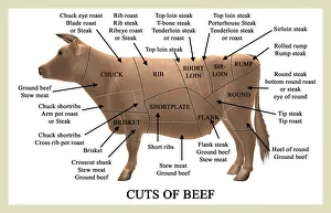 Tiras de carne de res