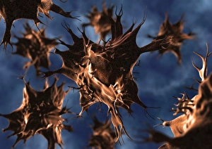 Immune System Cells Imprime: Dendritic cell, computer artwork