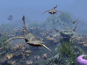 Devonian Period Fossils Imprime: Devonian sea, artwork