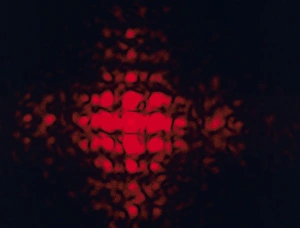 Impresiones de El patrón de diffraction creado por la luz láser que pasa a través del tejido muestra que en algunas ocasiones, la luz puede considerarse una onda Imágenes de julio de 2005: Patrón de difracción