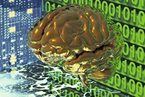 Imágenes fechadas en abril de 2003: Cerebro digital
