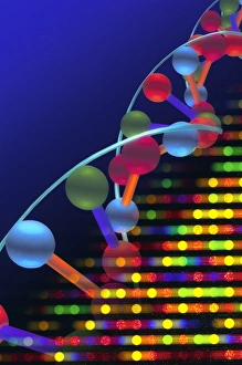 Molecular Biology Images Imprime: DNA microarray and double helix