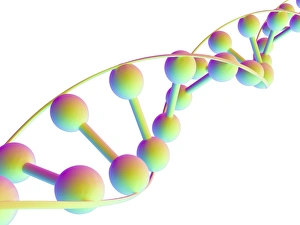 Molécula de ADN, arte computacional