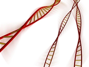 Deoxyribonucleic Acid Structure Imprime: DNA molecules, computer artwork
