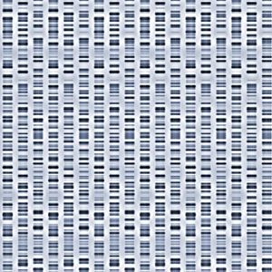 Genetic Code Explanation Imprime: DNA sequences