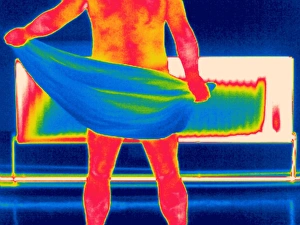 Imágenes fechadas el 17 de junio de 2003: Secando la humedad, gráfico de termografía