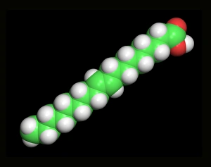 Heart Disease Risk Factors Imprime: Elaidic acid, computer model