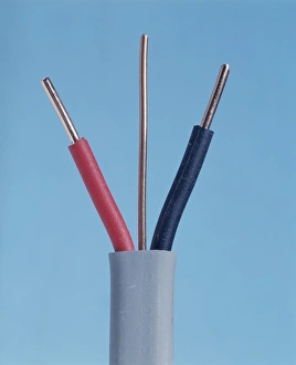Imágenes de julio de 2004: Cable eléctrico