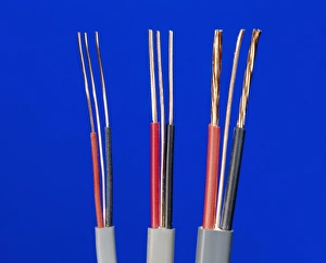 Impresiones de Cables eléctricas. Cada cable está compuesto por una vía de corriente en vivo, neutral y tierra, aisladas dentro de sheaths de goma. Las vías están hechas del cobre, que es un excelente conductor Imágenes fechadas en marzo de 2009: Cables eléctricos